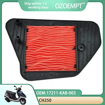 Воздушный фильтр мотоцикла OZOEMPT Применяется к CH250 OEM: 17211-KAB-003