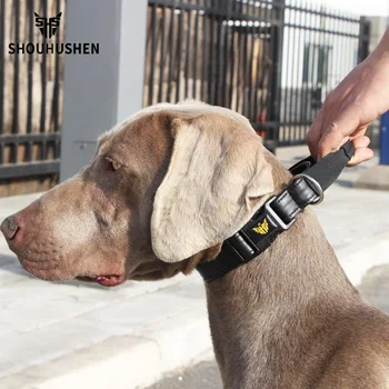 Амортизирующий ошейник для собак с банджи-поводком и воздушной сеткой для комфортного и безопасного активного отдыха