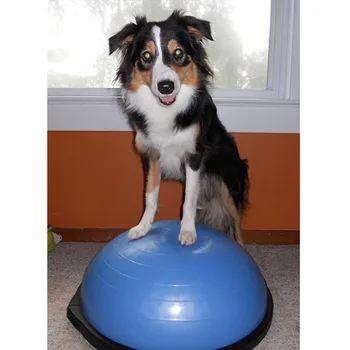 Тренировка баланса полушарий Для домашних животных, тренировка восстановления мышц, укрепление задних конечностей, инструменты для послеоперационной реабилитации для собаки