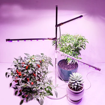 Светодиодная лампа для выращивания комнатных растений, красная, синяя, 4000 К, лампа для выращивания растений полного спектра с тайммером для гидропонной рассады цветов и трав